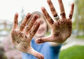 Las causas de los parásitos en el cuerpo humano